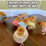 Young chicks. | A picture of some chicks in short skirts for you. | image tagged in chicks in short skirts,funny | made w/ Imgflip meme maker