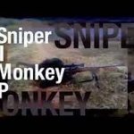 Yeah, i'm a simp, Sniper Monkey meme