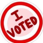 i voted among us