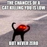 Cursed Cat | THE CHANCES OF A CAT KILLING YOU IS LOW; BUT NEVER ZERO | image tagged in cursed cat | made w/ Imgflip meme maker