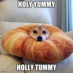 Shibe  crossont | HOLY YUMMY; HOLLY TUMMY | image tagged in yummy,doge,dog | made w/ Imgflip meme maker