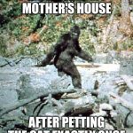 Somebody's gotta vacuum that thing or something! | ME LEAVING MY MOTHER'S HOUSE; AFTER PETTING THE CAT EXACTLY ONCE | image tagged in bigfoot | made w/ Imgflip meme maker