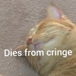 Cat dies from cringe
