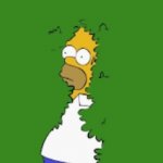 Homer In a Bush