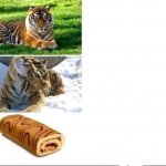 Tiger to snack