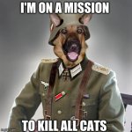 dog army | I'M ON A MISSION; TO KILL ALL CATS | image tagged in dog army | made w/ Imgflip meme maker