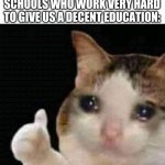 crying thumbs up | THAT ONE KID: I HATE SCHOOL
SCHOOLS WHO WORK VERY HARD TO GIVE US A DECENT EDUCATION: | image tagged in crying thumbs up | made w/ Imgflip meme maker