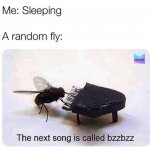 The next song is called bzzbzz