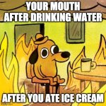fr tho | YOUR MOUTH AFTER DRINKING WATER AFTER YOU ATE ICE CREAM | image tagged in dog in burning house | made w/ Imgflip meme maker