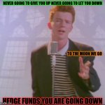 NEVER GOING TO GIVE YOU UP NEVER GOING TO LET YOU DOWN; TO THE MOON WE GO; HEDGE FUNDS YOU ARE GOING DOWN | image tagged in silver | made w/ Imgflip meme maker