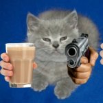 Choccy Milk Cat meme