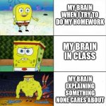 why | MY BRAIN WHEN I TRY TO DO MY HOMEWORK; MY BRAIN IN CLASS; MY BRAIN EXPLAINING SOMETHING NONE CARES ABOUT | image tagged in bulky sponge bob,brain,school | made w/ Imgflip meme maker