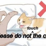 Please do not touch the cat meme