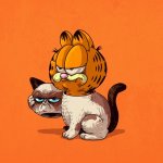 Garfield is the grumpy cat