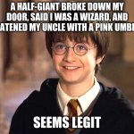 Harry Potter smiling | A HALF-GIANT BROKE DOWN MY DOOR, SAID I WAS A WIZARD, AND THREATENED MY UNCLE WITH A PINK UMBRELLA; SEEMS LEGIT | image tagged in harry potter smiling | made w/ Imgflip meme maker