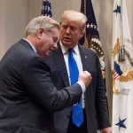 Lindsey Trump Handjob