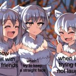 my emotions? | when i try to keep a straight face; how i feel with my friends; when im trying to not laugh | image tagged in anime laughing wolf meme,laugh,straightface | made w/ Imgflip meme maker