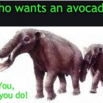 Fun fact: this is what the avocado is evolved to feed | Who wants an avocado? You, yes you do! | image tagged in gomphothere,avocado,evolution | made w/ Imgflip meme maker
