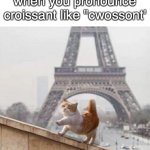 France cat | when you pronounce croissant like "cwossont' | image tagged in france cat | made w/ Imgflip meme maker