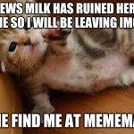 goodbye well Maybe I won't be on memematic I'll be somewhere | NEWS MILK HAS RUINED HERE FOR ME SO I WILL BE LEAVING IMGFLIP; COME FIND ME AT MEMEMATIC | image tagged in sad kitten goodbye | made w/ Imgflip meme maker