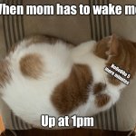 5 more minutes!!! | When mom has to wake me; NoOoOOo 5 more minutes; Up at 1pm | image tagged in memes | made w/ Imgflip meme maker