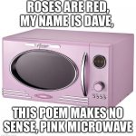 Idk what to put | ROSES ARE RED, MY NAME IS DAVE, THIS POEM MAKES NO SENSE, PINK MICROWAVE | image tagged in funny | made w/ Imgflip meme maker