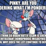 pinky brain | PINKY, ARE YOU PONDERING WHAT I'M PONDERING? I THINK SO BRAIN, BUT IF ISLAM IS SUCH AN INTOLERANT HOMOPHOBIC MISOGYNISTIC RELIGION, WHY DOES THE LEFT CONTINUE TO DEFEND IT? | image tagged in pinky brain | made w/ Imgflip meme maker