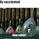 Fully Vaccinated Now What | Me: Gets fully vaccinated

Also me:; Now what? | image tagged in now what - finding nemo | made w/ Imgflip meme maker