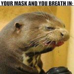 Disgusted Otter | WHEN YOU SNEEZE INTO YOUR MASK AND YOU BREATH IN: | image tagged in disgusted otter | made w/ Imgflip meme maker