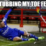 Vardy sliding in the corner flag | WHAT STUBBING MY TOE FEELS LIKE | image tagged in vardy sliding in the corner flag | made w/ Imgflip meme maker