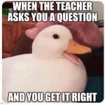 nice duck | WHEN THE TEACHER ASKS YOU A QUESTION; AND YOU GET IT RIGHT | image tagged in nice duck | made w/ Imgflip meme maker