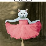 Katrina! | KATRINA! WHAT DO YOU CALL A BALLET CAT? | image tagged in ballet cat,memes | made w/ Imgflip meme maker