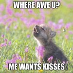 Baby Insanity Wolf | WHERE AWE U? ME WANTS KISSES | image tagged in memes,baby insanity wolf | made w/ Imgflip meme maker