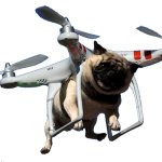 Pug Drone sticker