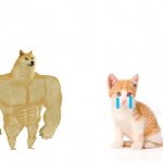 Cat vs. dog template