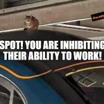 cat train | SPOT! YOU ARE INHIBITING THEIR ABILITY TO WORK! | image tagged in cat train | made w/ Imgflip meme maker
