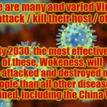 China Virus and Wokeness | There are many and varied Viruses that attack / kill their host / others. Yarra Man; By 2030, the most effective of these, Wokeness, will have attacked and destroyed more people than all other diseases combined, including the China Virus. | image tagged in wokeness and other viruses | made w/ Imgflip meme maker