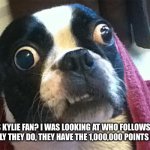 wat | WHO IS KYLIE FAN? I WAS LOOKING AT WHO FOLLOWS ME AND APPERANTLY THEY DO, THEY HAVE THE 1,000,000 POINTS BADGE THO | image tagged in confused dog | made w/ Imgflip meme maker