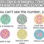 Uh yeah | ROSES ARE BLUE AND VIOLETS ARE RED I’M KINDA COLOR BLIND SO GIVE ME A BED | image tagged in color blind | made w/ Imgflip meme maker