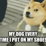 Walk time | MY DOG EVERY TIME I PUT ON MY SHOES | image tagged in gifs,doge | made w/ Imgflip video-to-gif maker