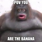 yum rewal | POV YOU; ARE THE BANANA | image tagged in le monke | made w/ Imgflip meme maker