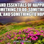 "The Grand essentials of happiness are: something to do, something to love, and something to hope for." | "THE GRAND ESSENTIALS OF HAPPINESS ARE; SOMETHING TO DO, SOMETHING TO LOVE, AND SOMETHING TO HOPE FOR."; -Allan Chalmers | image tagged in field of flowers,happiness,love,hope,life | made w/ Imgflip meme maker