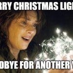 Stranger Things | SORRY CHRISTMAS LIGHTS GOODBYE FOR ANOTHER YEAR | image tagged in stranger things | made w/ Imgflip meme maker