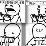 ASDF kitten | ALL A SUDDEN CATS; I'M ALLERGIC TO CATS! RIP; AWW | image tagged in asdf kitten | made w/ Imgflip meme maker