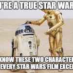 Not everyone realizes this. | IF YOU'RE A TRUE STAR WARS FAN; YOU'LL KNOW THESE TWO CHARACTERS HAVE BEEN IN EVERY STAR WARS FILM EXCEPT SOLO. | image tagged in r2d2 c3po,star wars,the more you know,the moment you realize,star wars fan | made w/ Imgflip meme maker