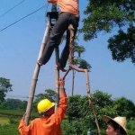 Workers helping with a branch