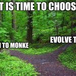 Choose now mortal | IT IS TIME TO CHOOSE; RETURN TO MONKE; EVOLVE TO CRAB | image tagged in two paths | made w/ Imgflip meme maker