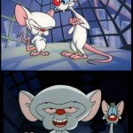 Pinky and the Brain