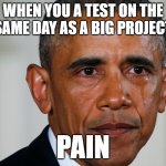 Soo much pain | WHEN YOU A TEST ON THE SAME DAY AS A BIG PROJECT; PAIN | image tagged in pain | made w/ Imgflip meme maker