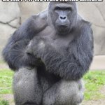 Harambe | HARAMBE SAYS THE WORLD WOULD BE HAPPY IF WE WERE MONKE GAMERS. | image tagged in harambe | made w/ Imgflip meme maker